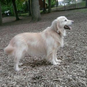 Meet your Posher, Sharon